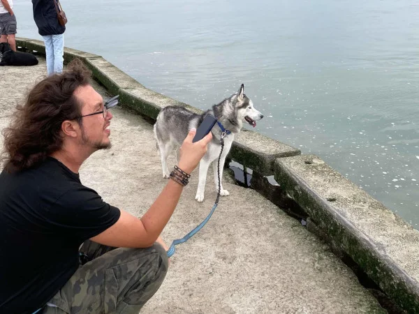 Cur.Husky